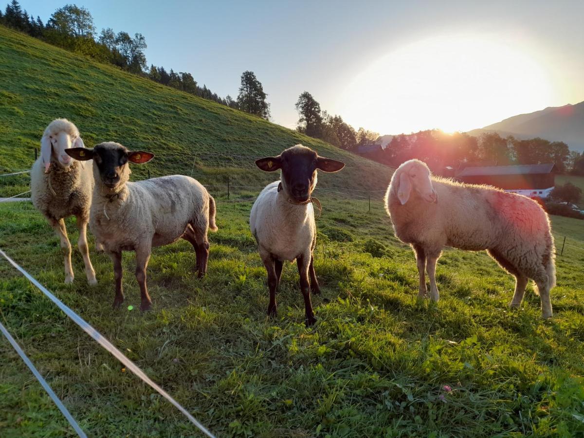 Appartement Sonnseitn Altenmarkt im Pongau Dış mekan fotoğraf